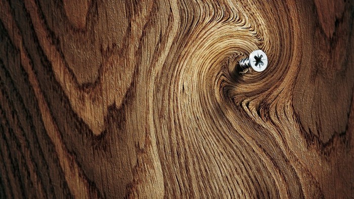 Close-up of a screw in swirling wood grain texture