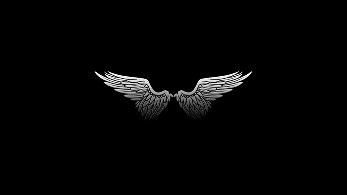 Minimalist Angel Wings on Black Background