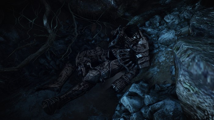 The Witcher 3 Wild Hunt Skellige armor