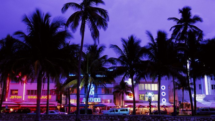 Grand Theft Auto Vice City Hotels and Palm Trees at Night