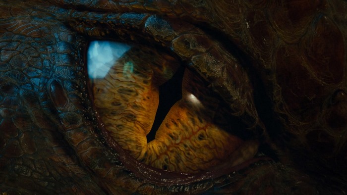 Smaug the dragon's eye from The Hobbit
