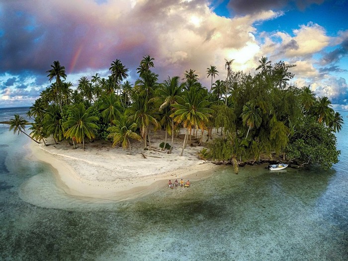 Tropical island with palm trees, beach, and rainbow