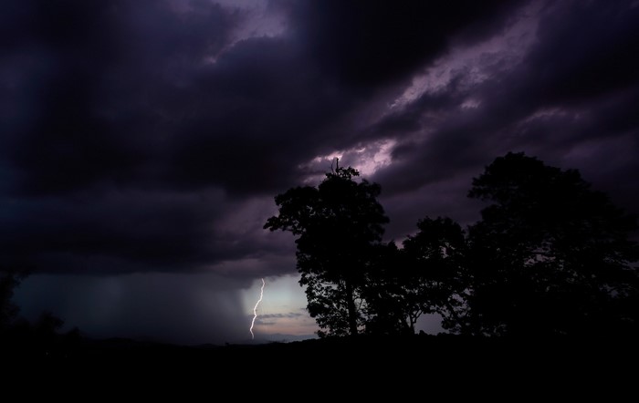 Lightning strikes during a storm over silhouetted trees