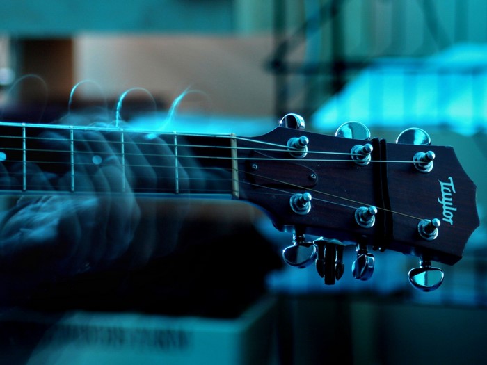 Close-up of a Taylor guitar headstock and fretboard