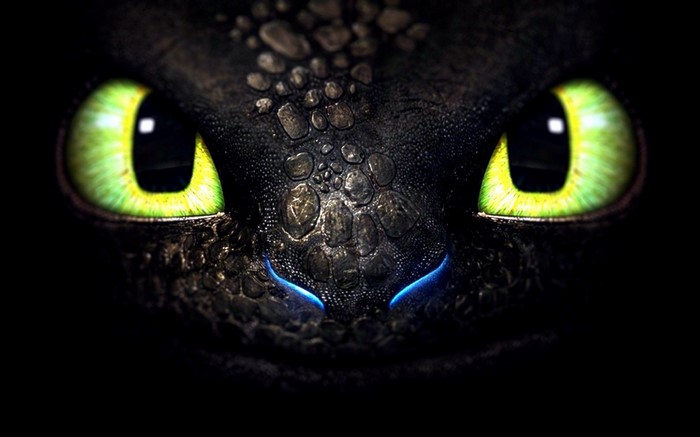 Toothless the Dragon from How to Train Your Dragon