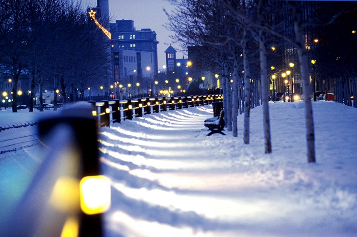 Snowy park path with lights and trees at night