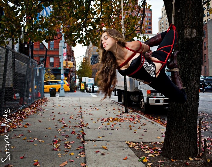 Woman suspended by ropes from a tree on a city street