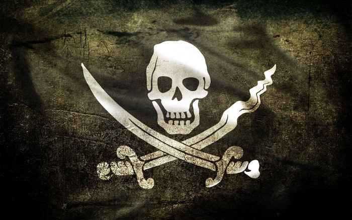 Pirates of the Caribbean Pirate Flag