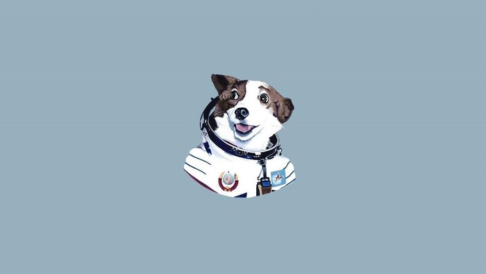 Dog in a spacesuit