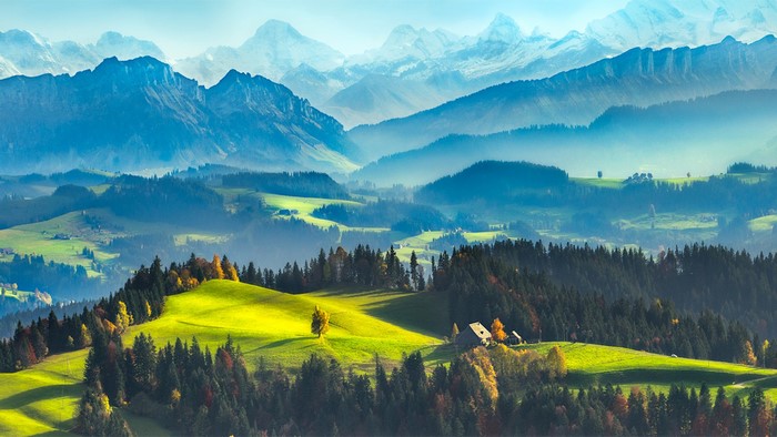 Mountain valley with pine trees and houses
