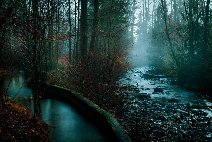 Misty forest river with rocks and trees