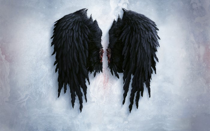 Black angel wings with bloody stumps