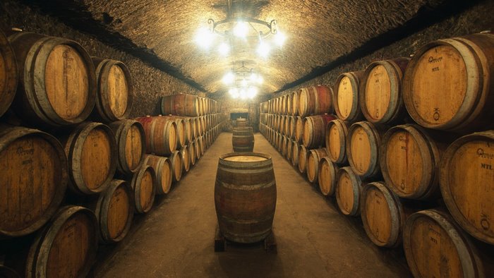 Wine cellar with rows of wooden barrels