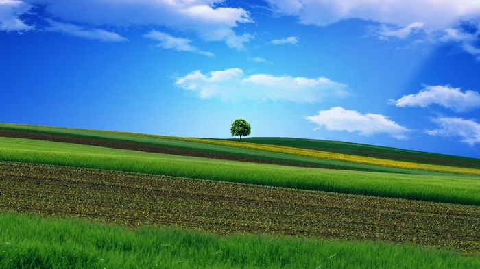 Rolling green hills with a lone tree under a blue sky