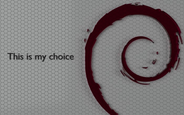Debian Linux logo with text This is my choice