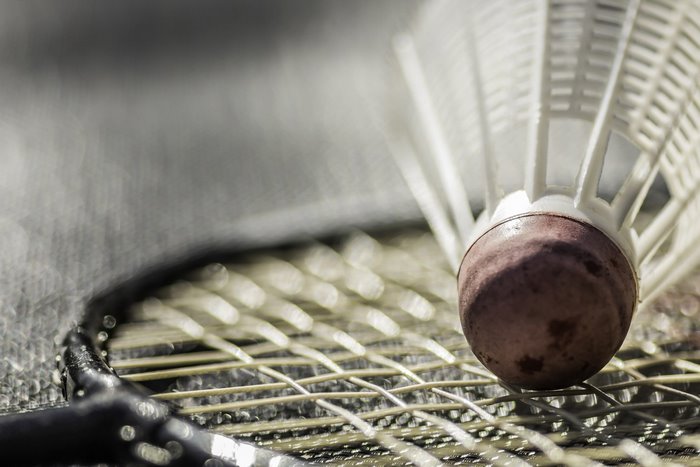Close-up of a badminton shuttlecock on a racket