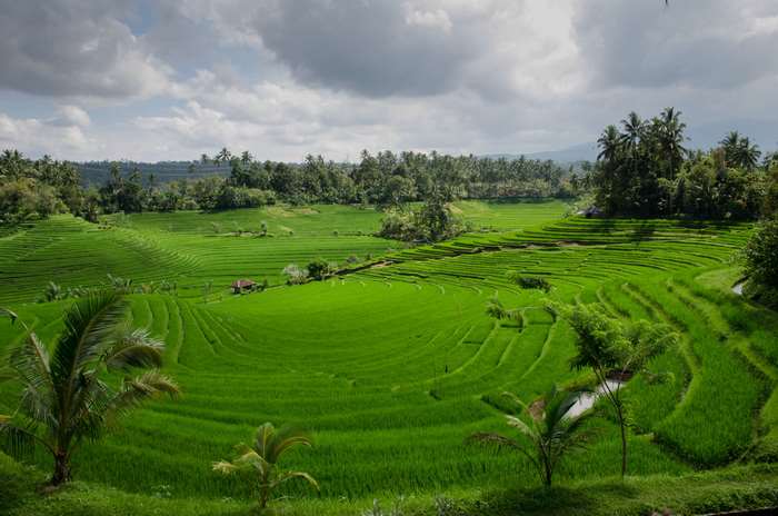 Terraced rice paddies in Bali, Indonesia with clouds
