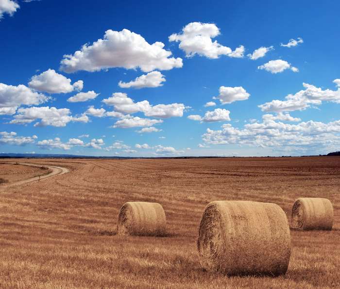 Hay bales in a dry field under a blue sky with clouds