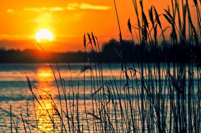 Sunset over a lake with reeds in Poland 4K
