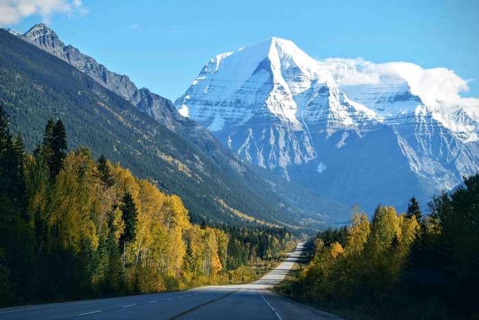 Road leading to snow-capped mountains with autumn trees