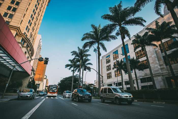 City street with cars and palm trees