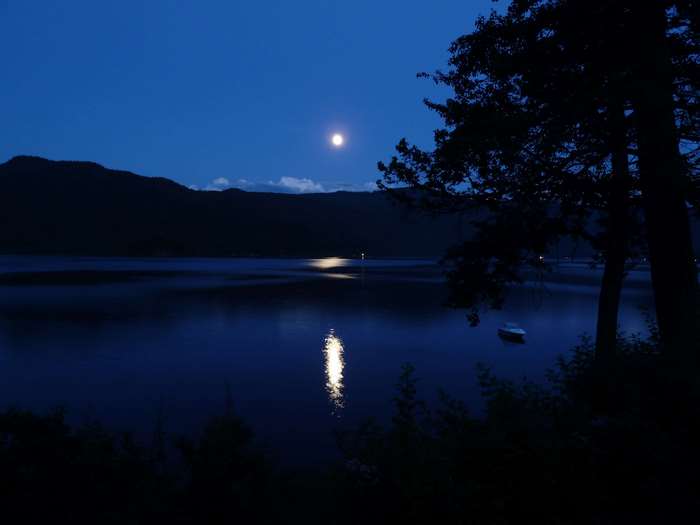 Moonlit night over Canim Lake with silhouette trees