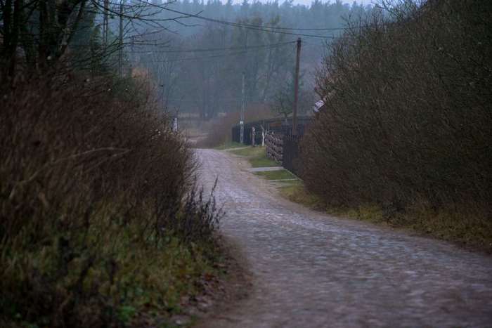 Misty road through a village in the woods