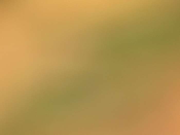 Blur background 4k