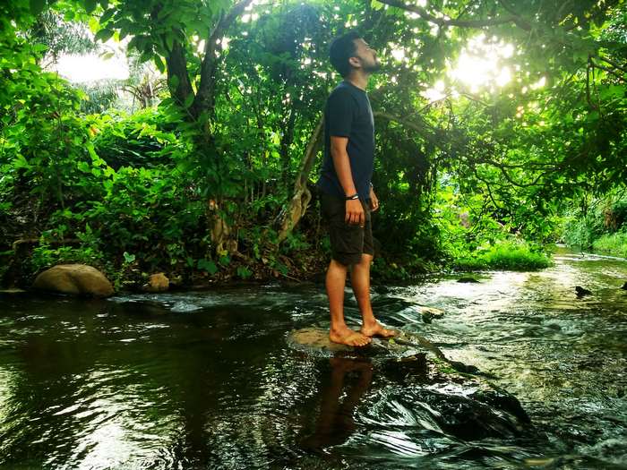 Man standing in a stream in a jungle
