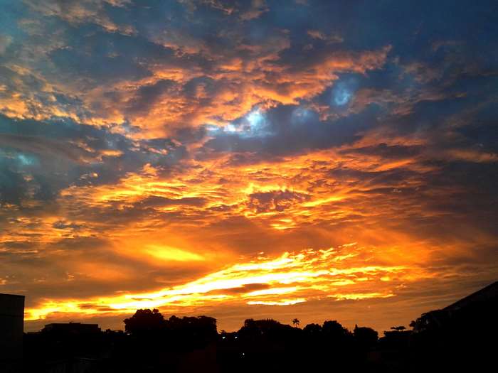 Orange and blue clouds at sunset over silhouetted trees