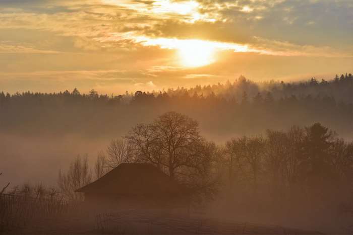 Misty sunrise over a forest with a house