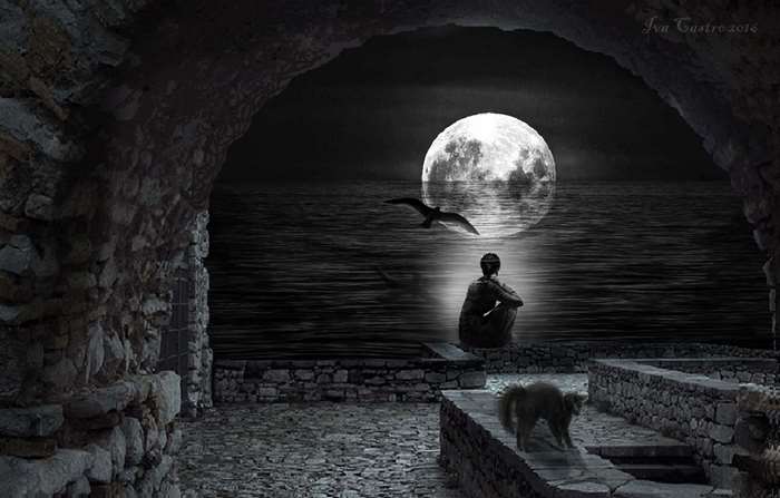 Person and cat by the sea under the moon