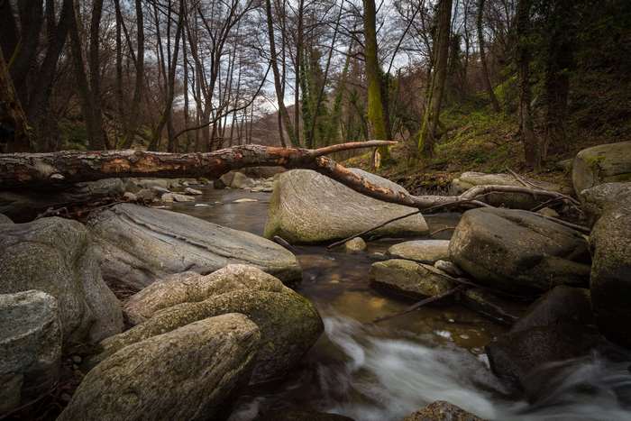 Fallen tree over a rocky stream in a forest