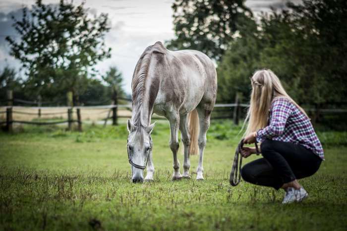 Woman with a white horse in a field