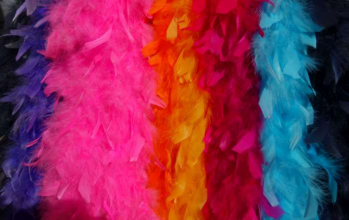 Colorful feather boas in a row