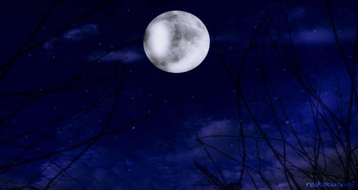 Full moon in a dark night sky with branches