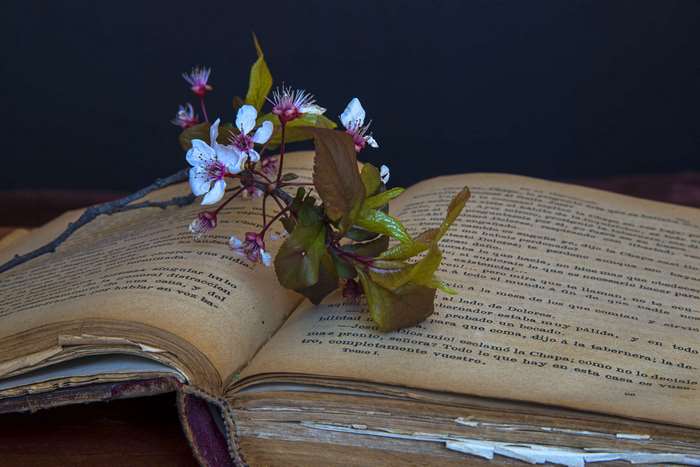 Old book with flowers