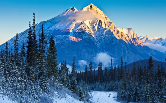 Snowy mountain peak with pine trees and a road
