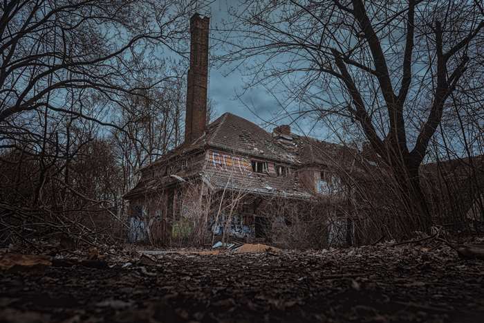 Abandoned house with graffiti and overgrown trees