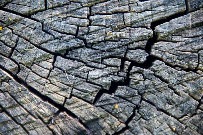 Close up of cracked wood texture