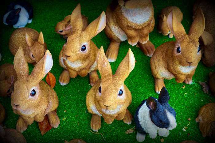 Group of cute bunny figurines on green grass