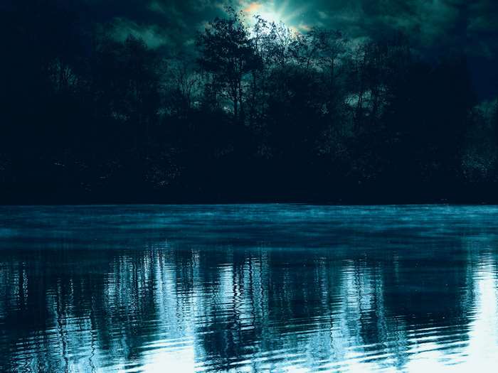 Dark Forest Lake Reflections at Dawn 4K