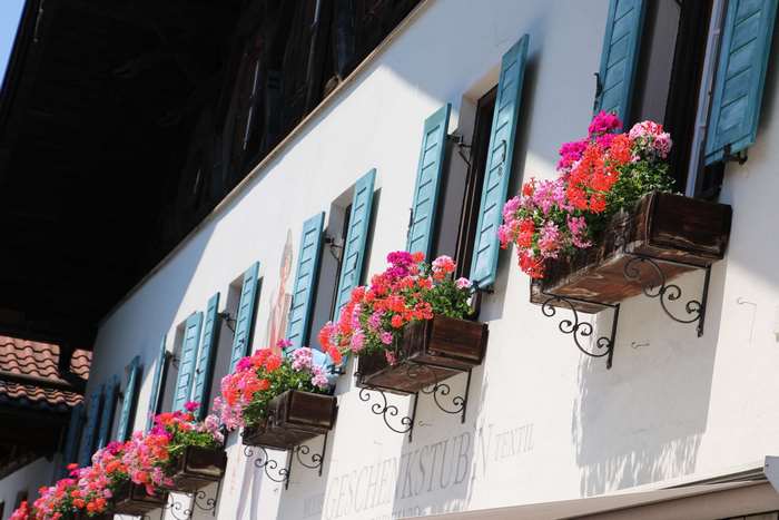 White building with blue shutters and flower boxes