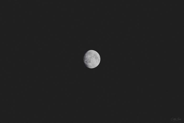 The Moon in the Dark Night Sky