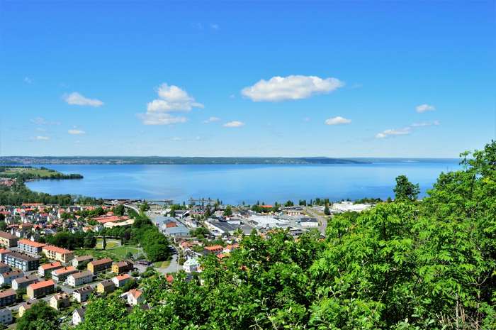 Town on a bay with trees in the foreground