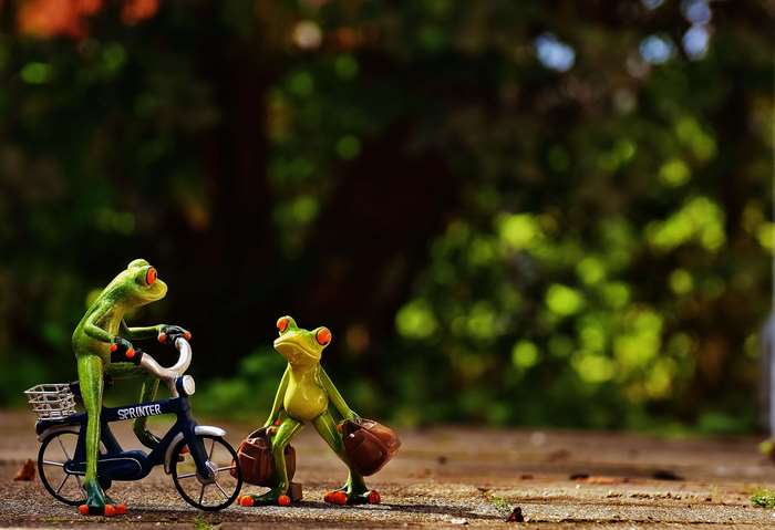 Two frogs with luggage and a bicycle