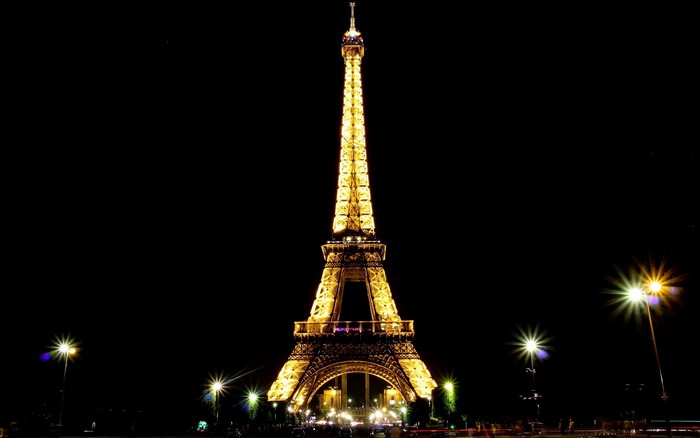 Eiffel Tower at Night in Paris