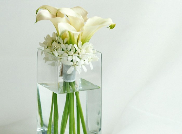 White Calla Lilies and small white flowers in a glass vase