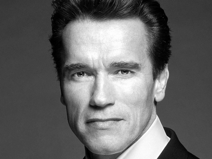 Arnold Schwarzenegger, Actor, Governor, Celebrity