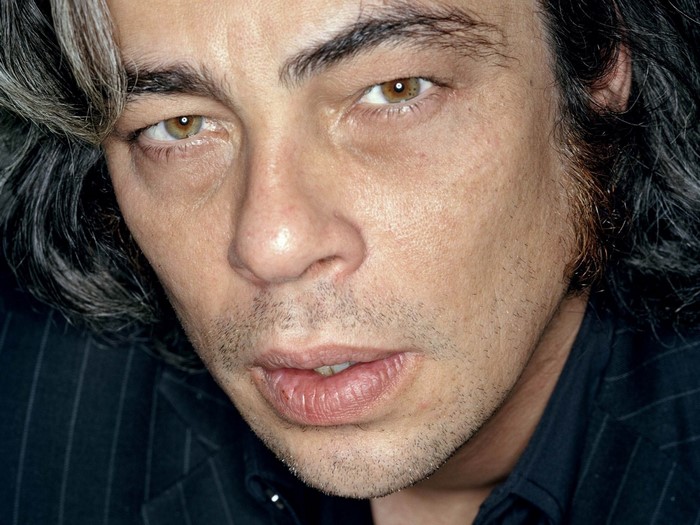Benicio del Toro close-up portrait
